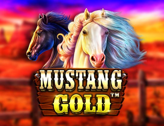 Platincasino.com