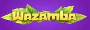Nzn