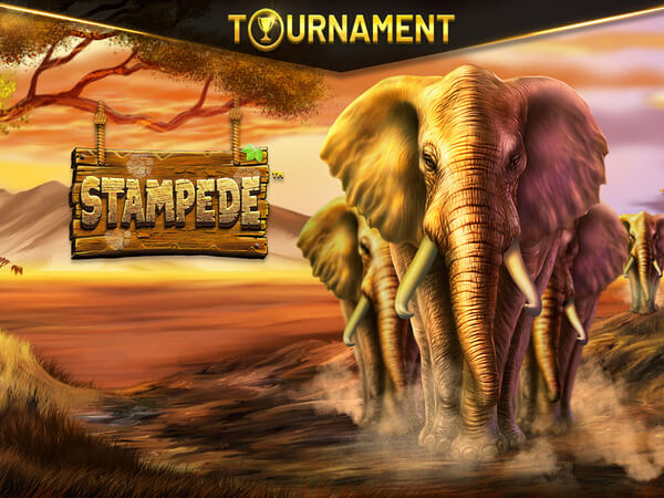 Rtp live slot